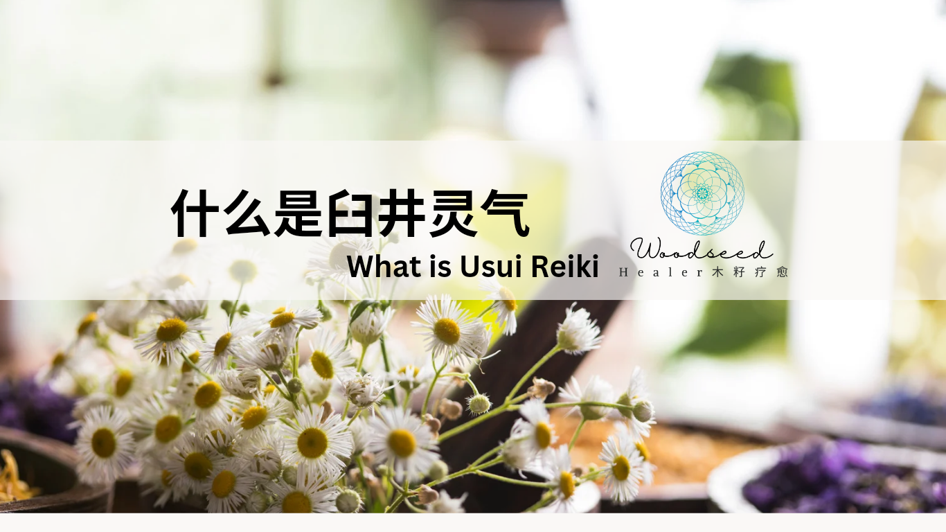 什么是臼井灵气 USUI REIKI
